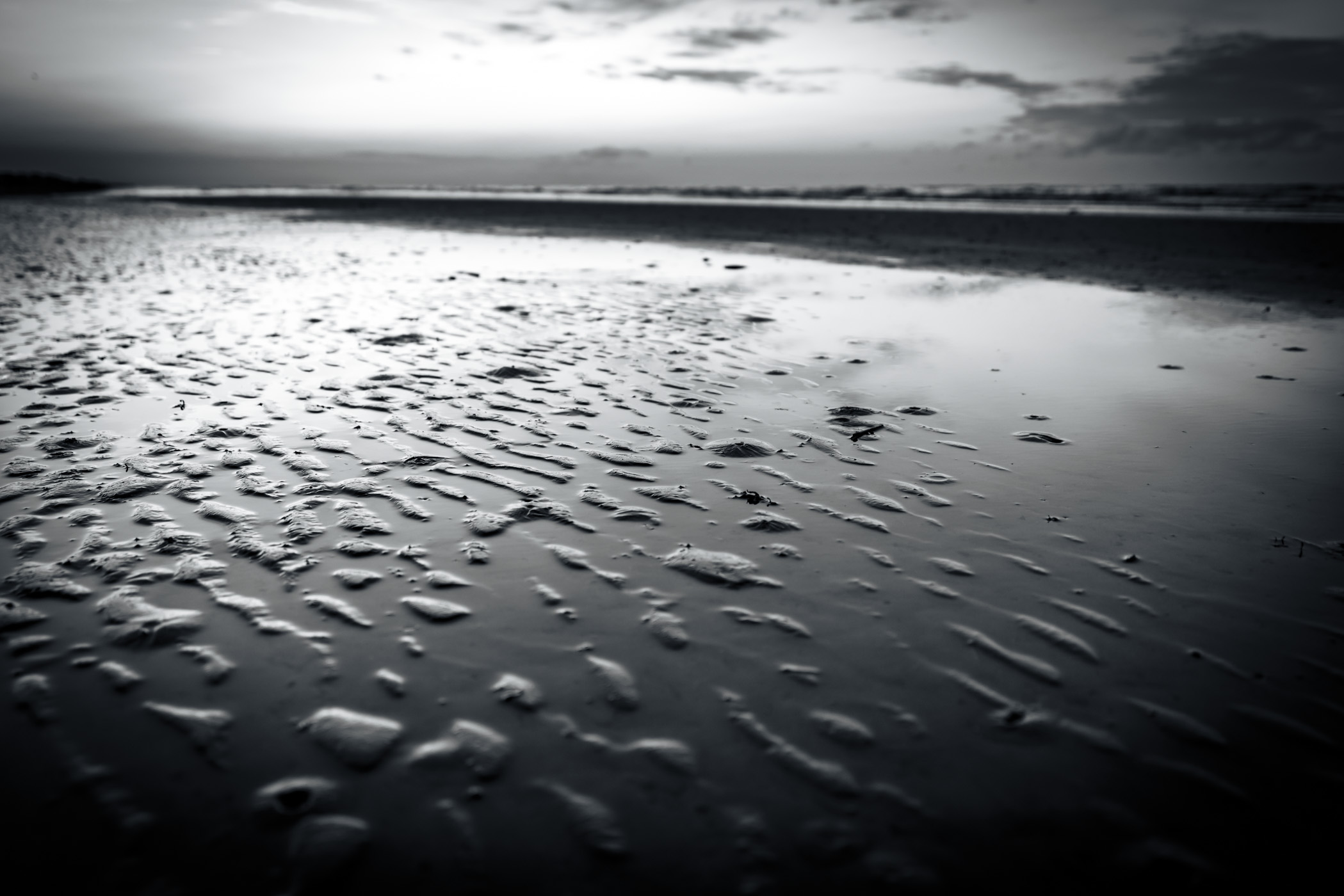 Ripples in the sand on a Galveston Island, Texas, beach.