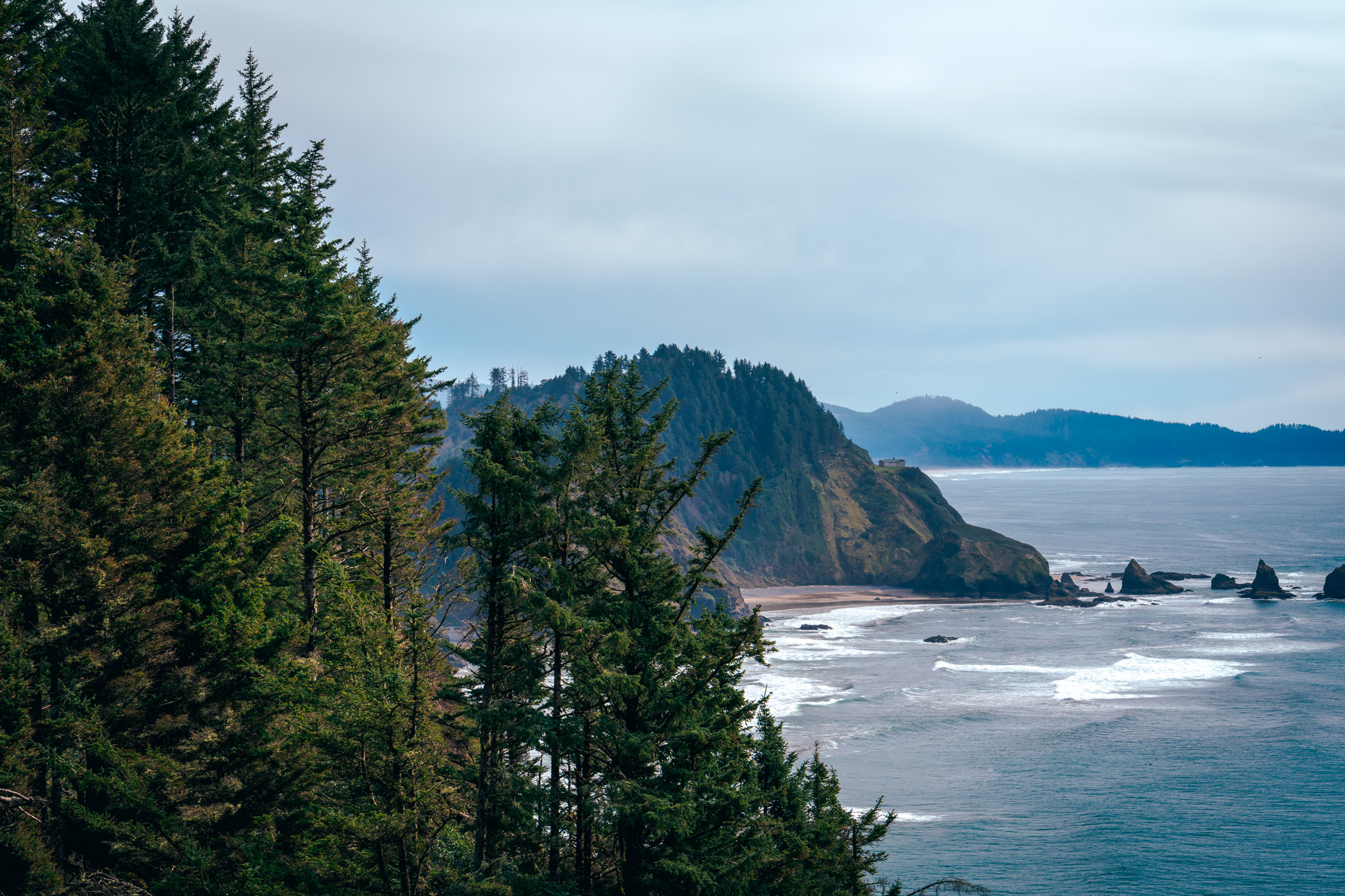 An evergreen forest grows along the rugged Oregon coast near Cape Meares.