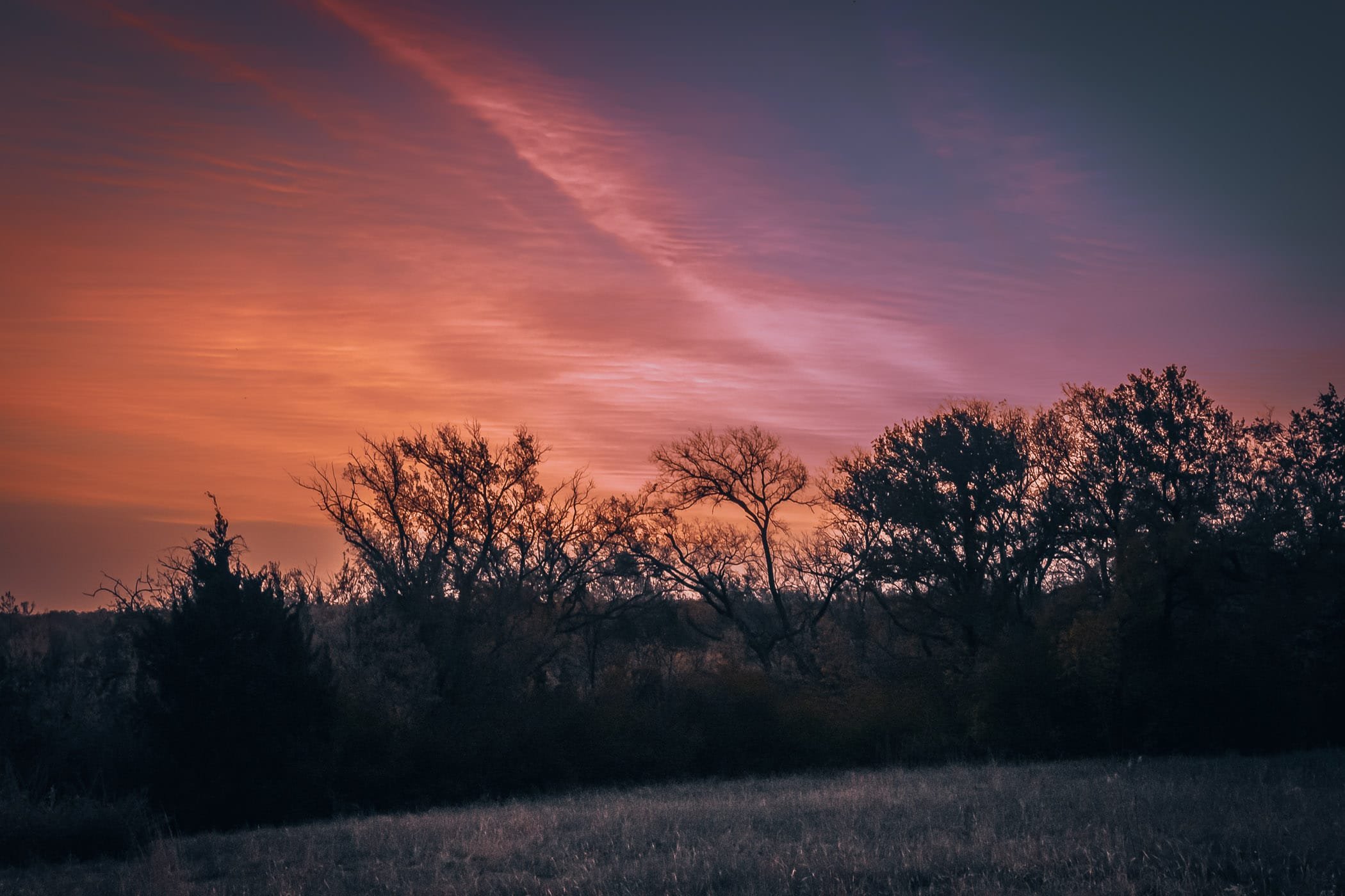 The sun rises on trees at Fort Worth, Texas' Tandy Hills Natural Area.
