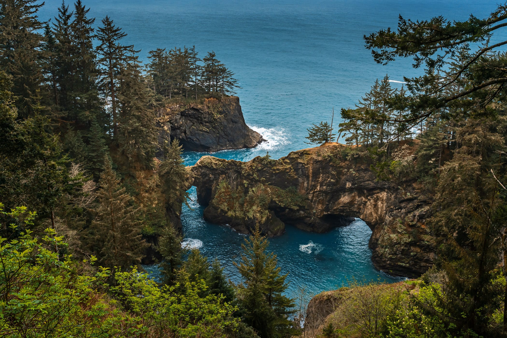 The Natural Bridges rock formation in the Pacific Ocean surf near Brookings, Oregon.