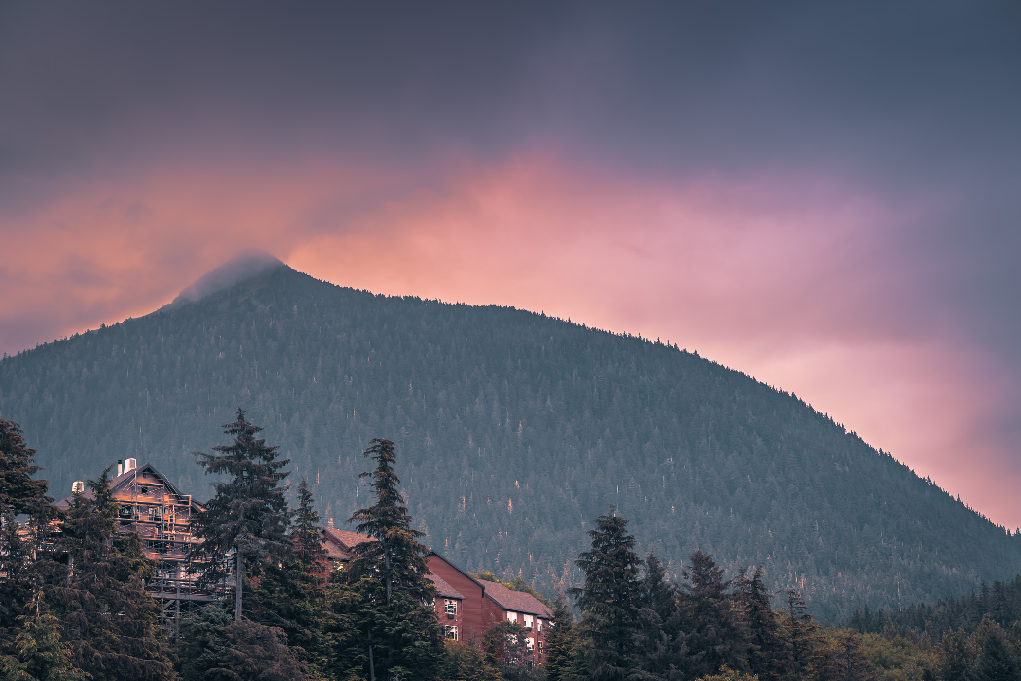 Houses on a hillside overlooking Ketchikan, Alaska.