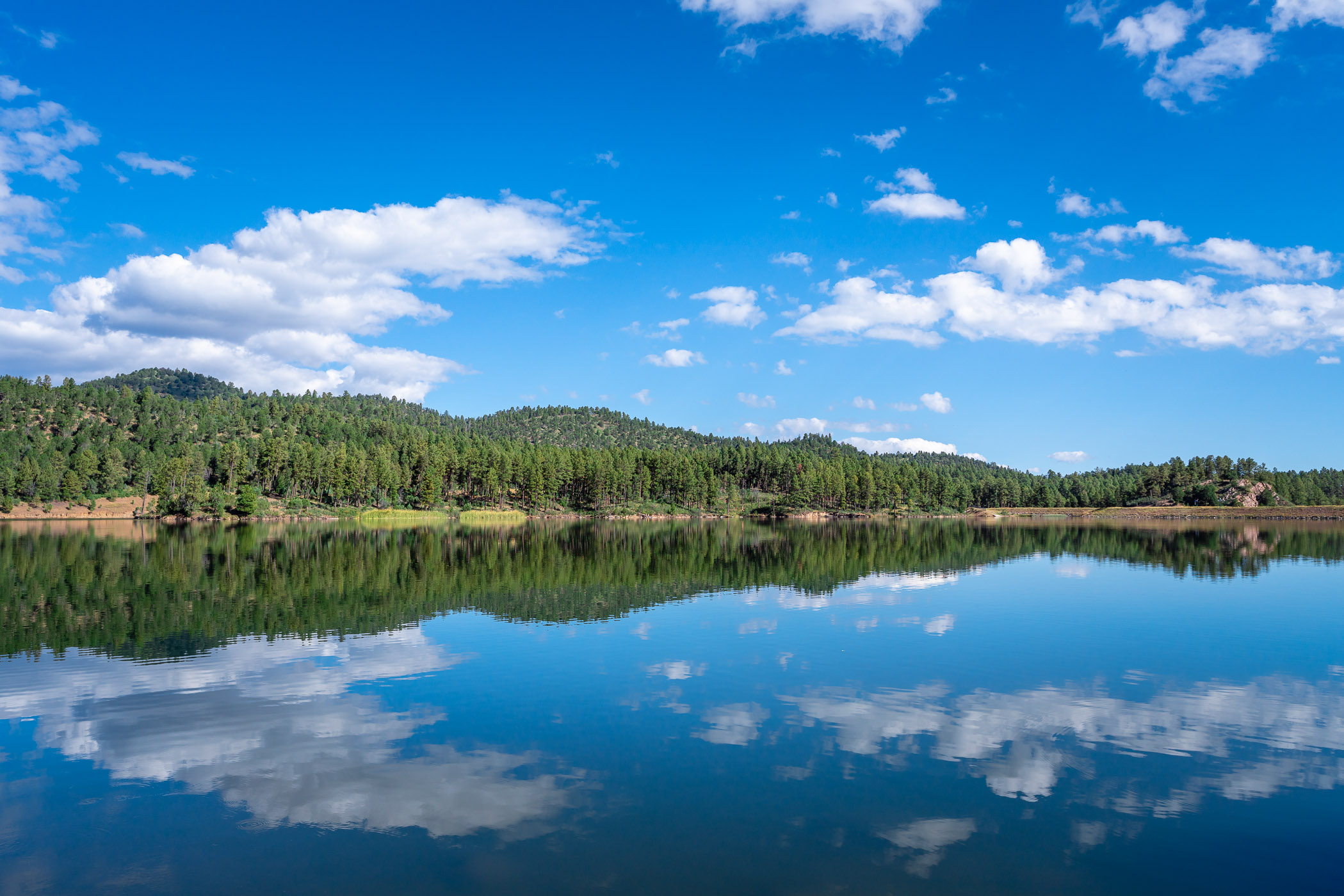 Evergreen trees reflect on the calm waters of Mescalero Lake at the Inn of the Mountain Gods, Ruidoso, New Mexico.