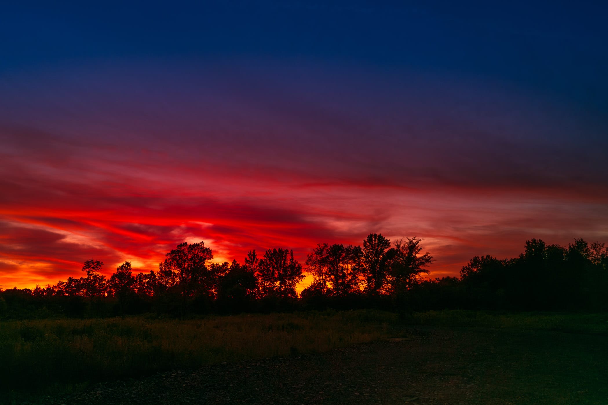 The sun sets behind a brace of trees near Mena, Arkansas.