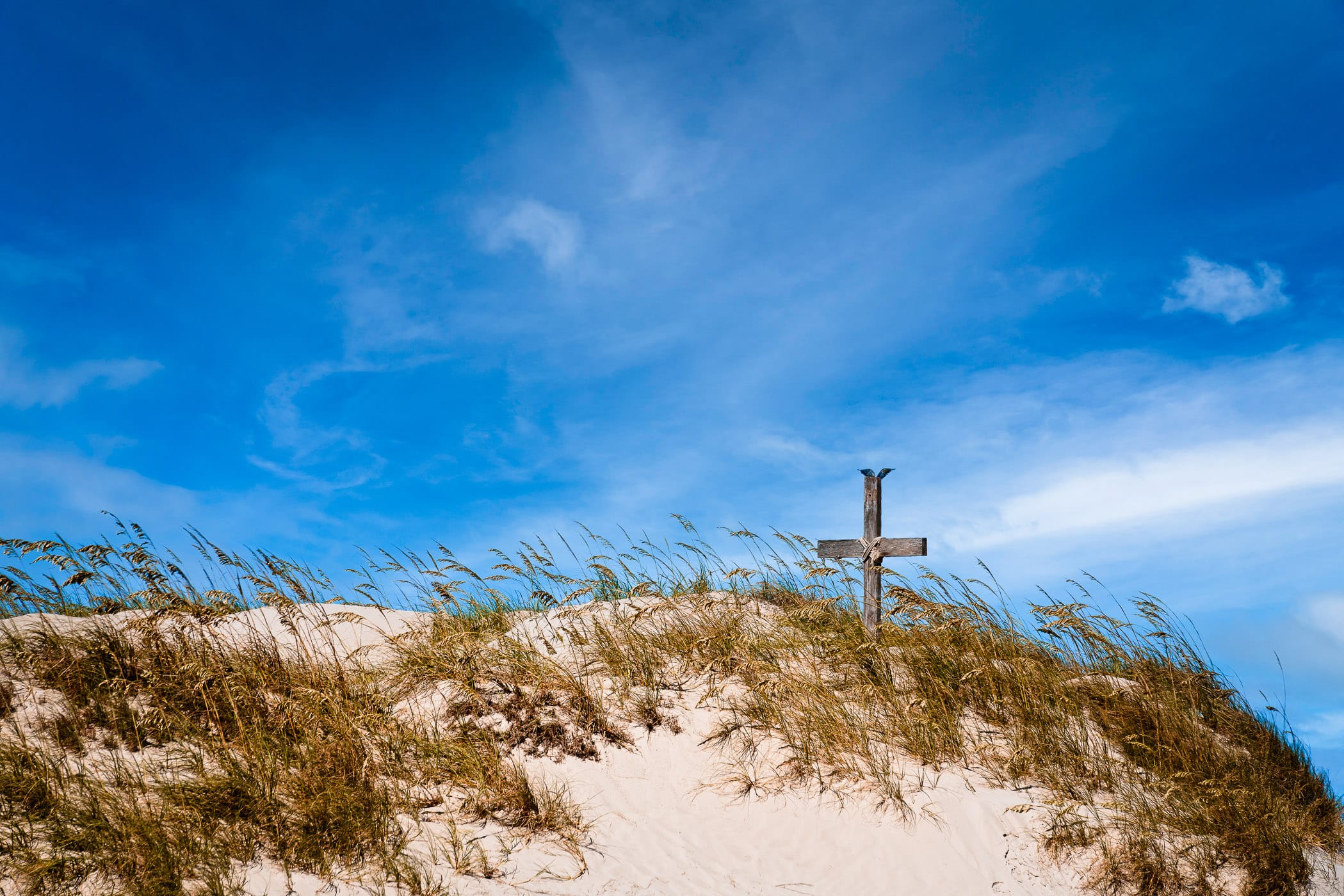 A pelican alights atop a cross erected on the sand dunes that line Aransas Pass at Port Aransas, Texas.