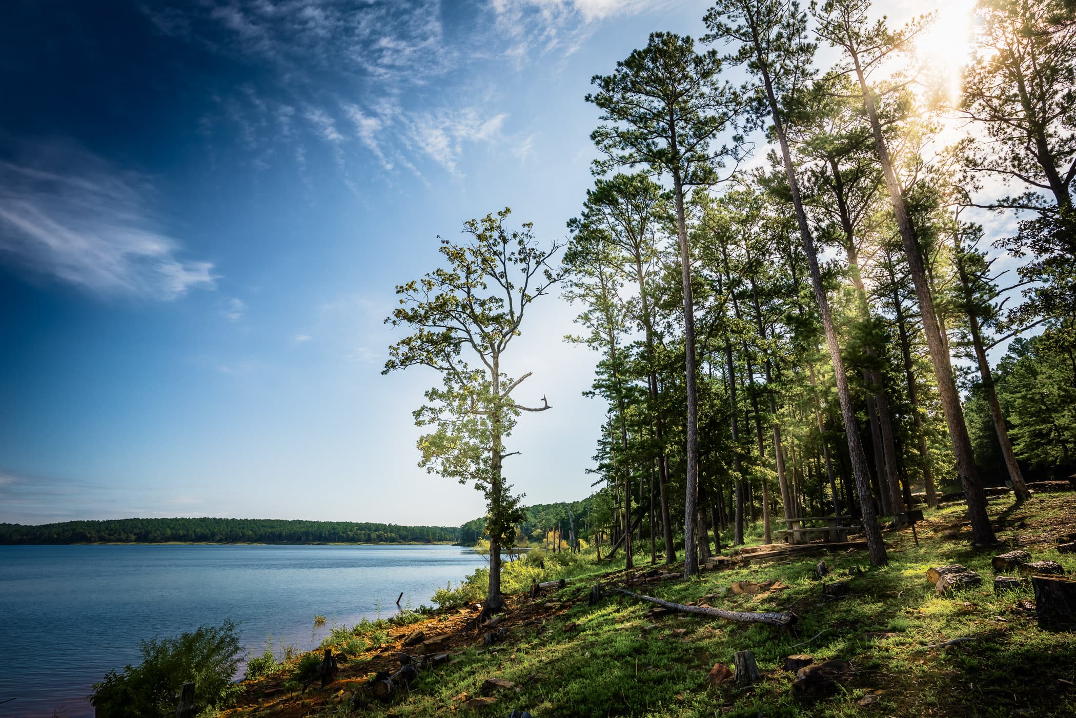 Sunlight streams through tall trees at Oklahoma's McGee Creek State Park.