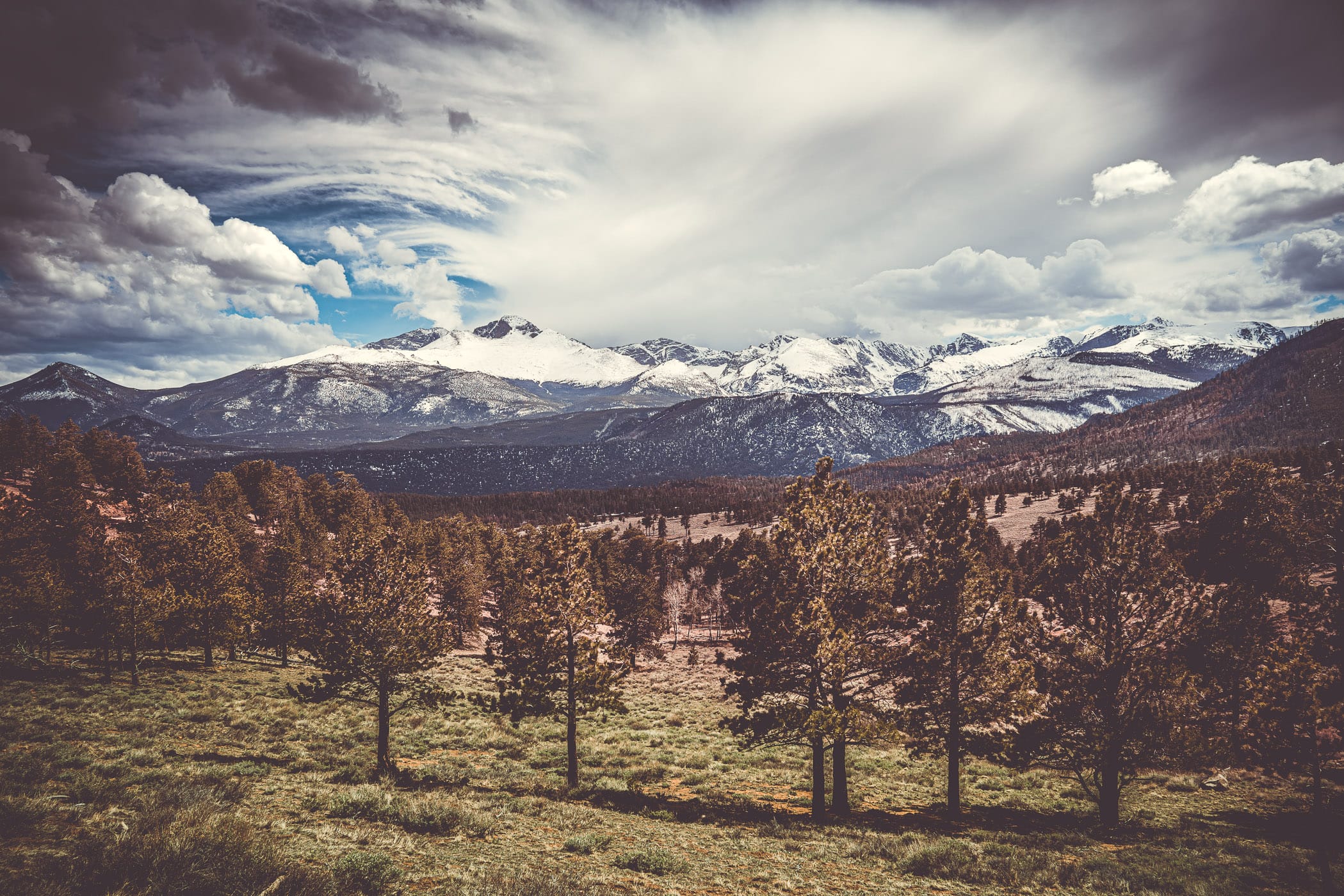 Trees cover mountain foothills at Colorado's Rocky Mountain National Park.