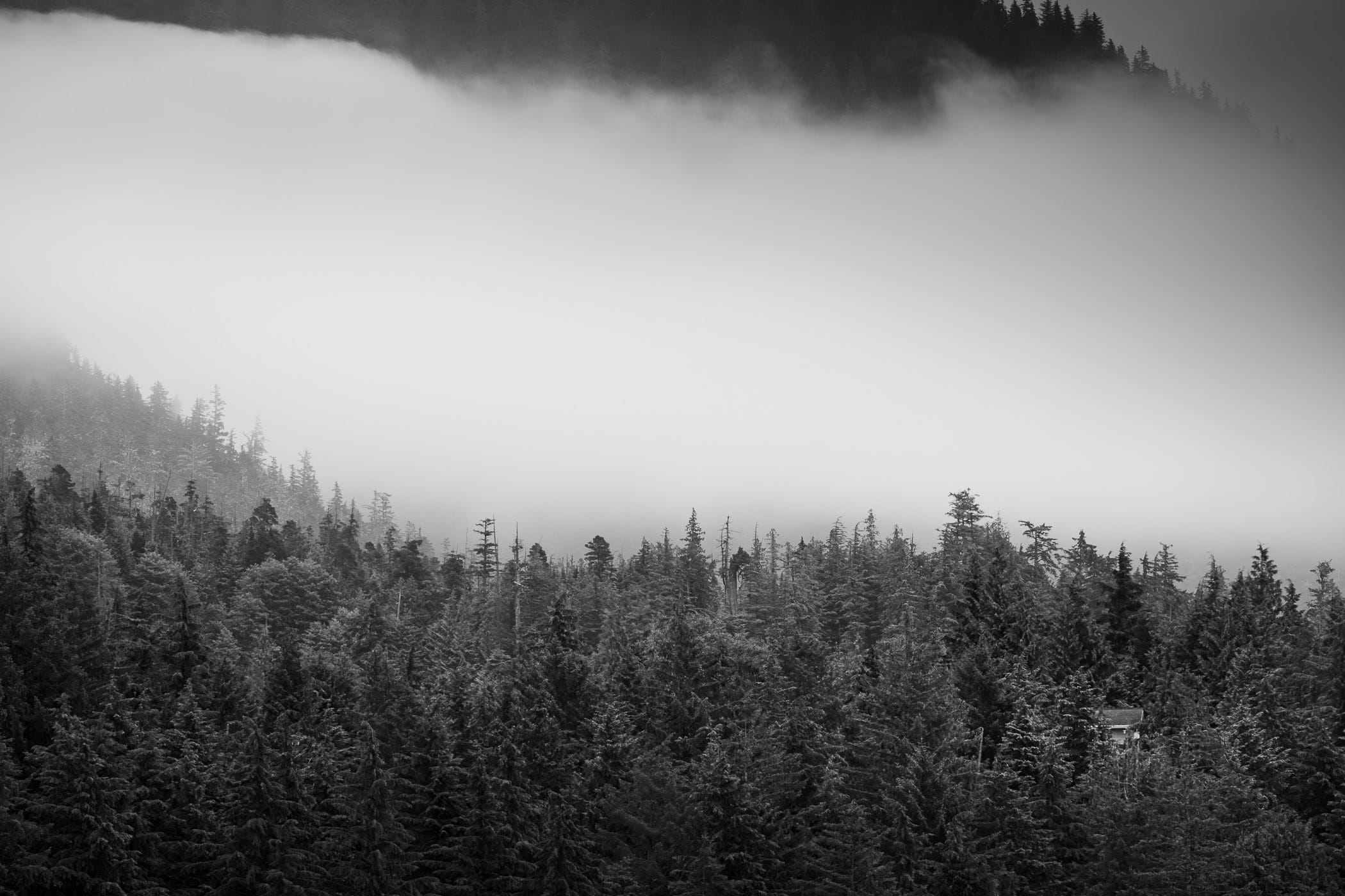Fog envelops the forested mountains above Ketchikan, Alaska.