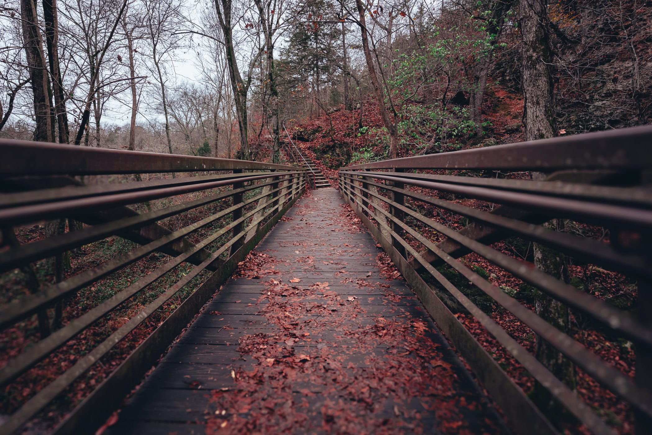 A bridge stretches through the autumn trees at Oklahoma's Natural Falls State Park.