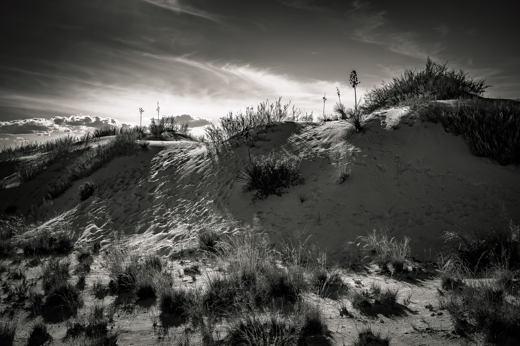 The sandy landscape of White Sands National Park, New Mexico.