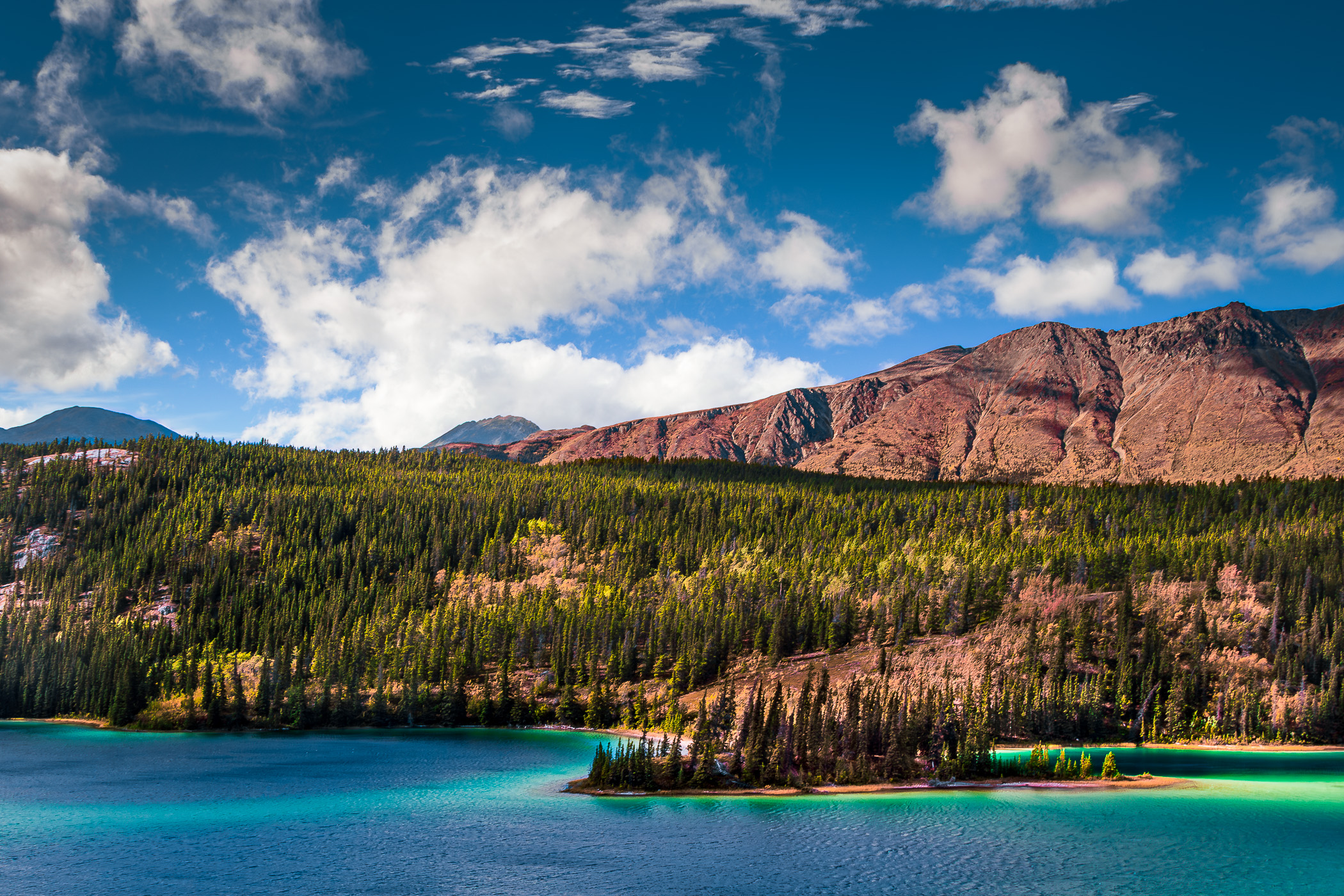 The arboreal landscape of the Yukon Territory at Emerald Lake.