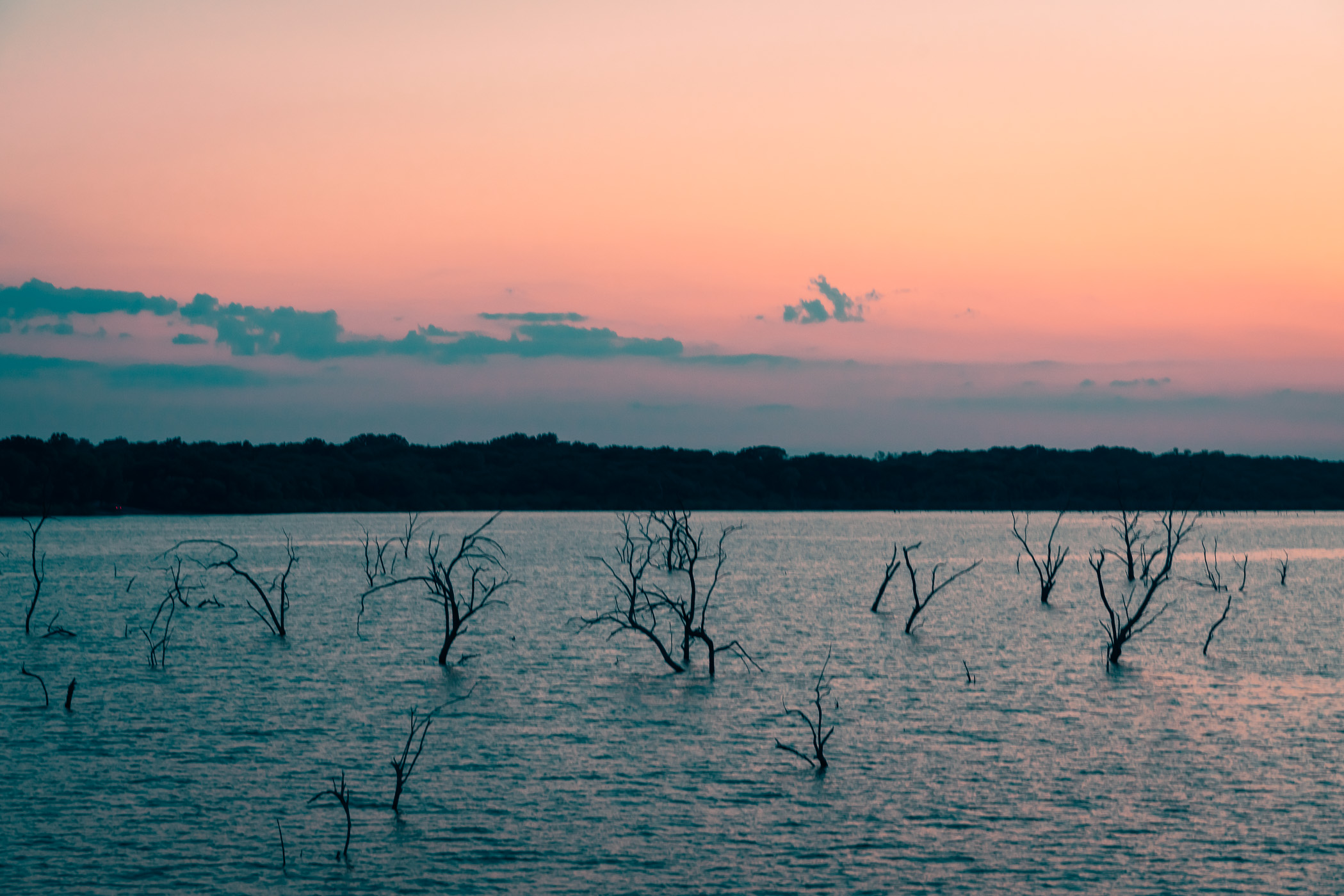 Inundated trees emerge from North Texas' Lake Lavon.