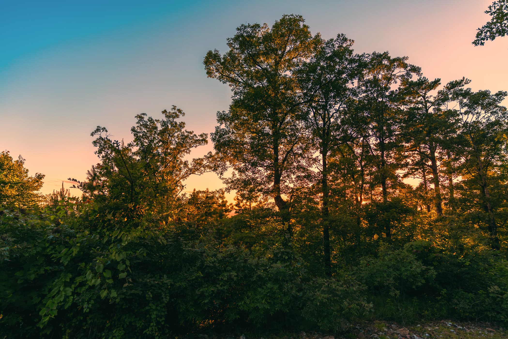 As the sun dips below the horizon, it casts a warm glow over a cluster of trees near Mena, Arkansas, signaling the end of another beautiful day.