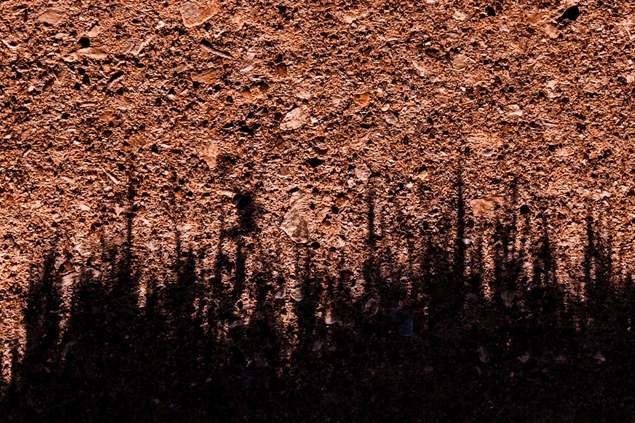 Blades of grass cast shadows on a sidewalk in McKinney, Texas.
