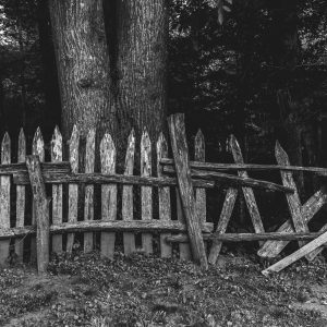Falling Fence