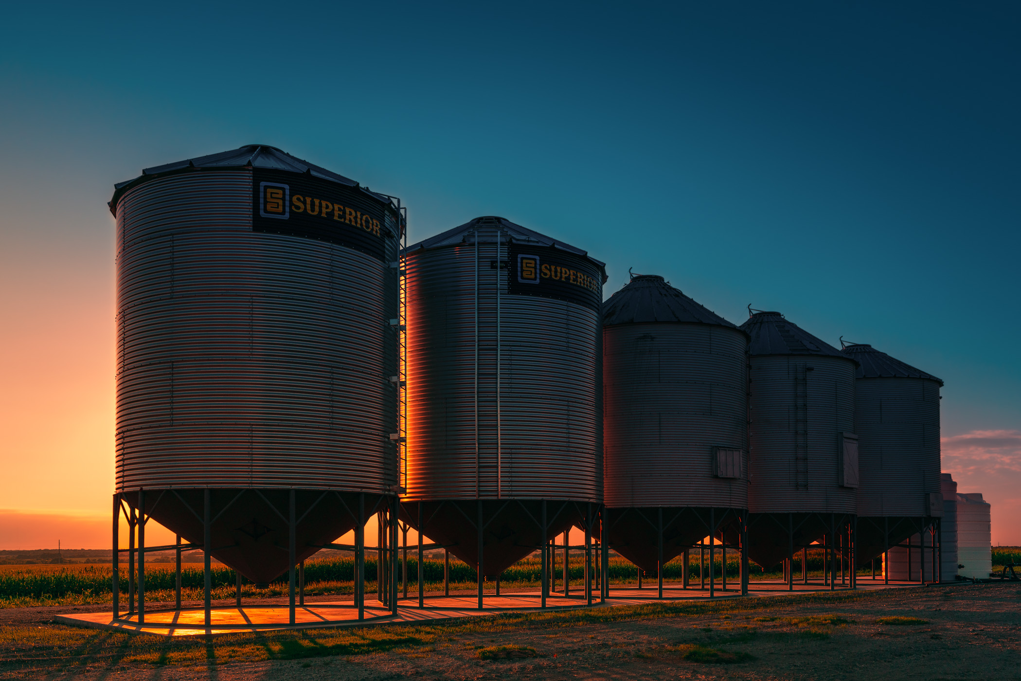 Five small silos in the evening light at Howe, Texas.