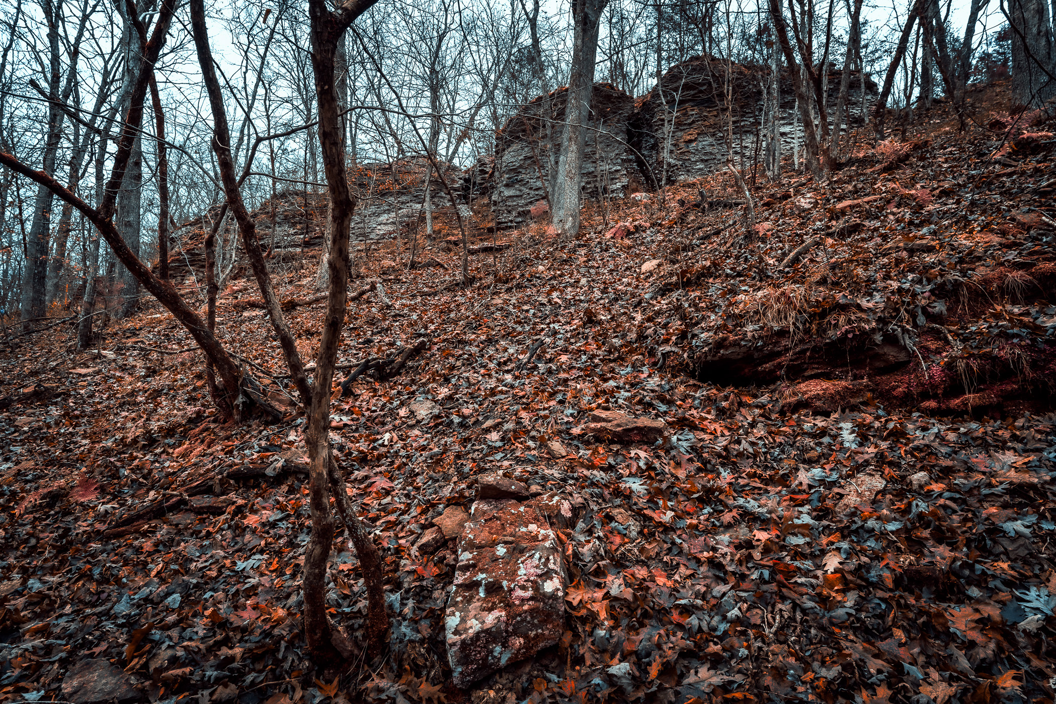 Autumn in the hilly landscape of Arkansas' Devil's Den State Park.